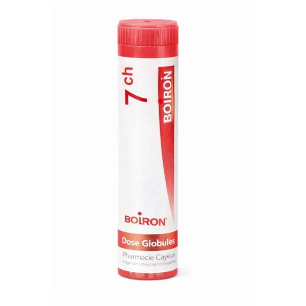 SERUM EQUI 7CH DOSE BOIRON