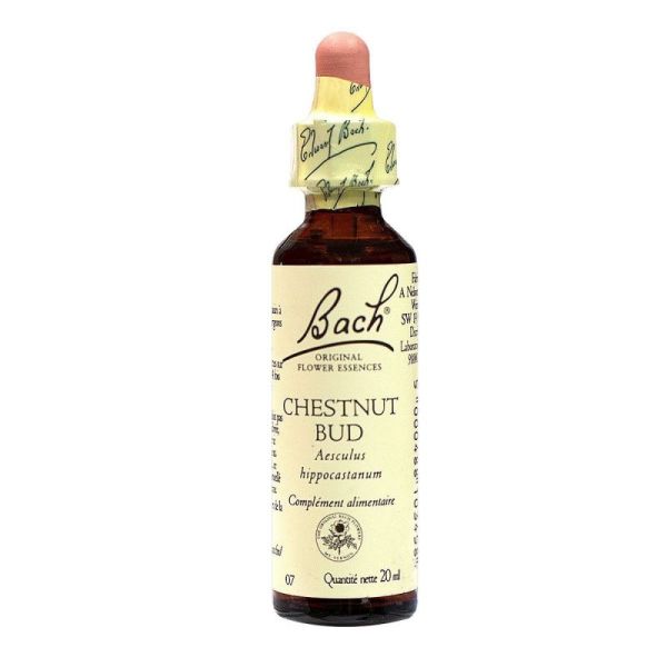 Fleurs de Bach® Original Chestnut Bud ( Bourgeon de marronnier ) - 20 ml