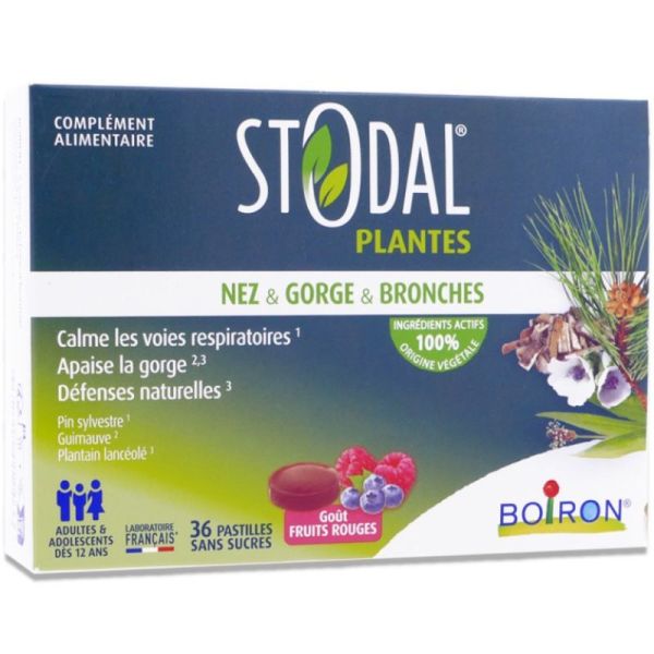 Stodal Plantes Fruits rouges - Pastilles