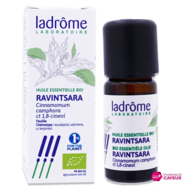 Huile essentielle de Ravintsara bio 10 ml