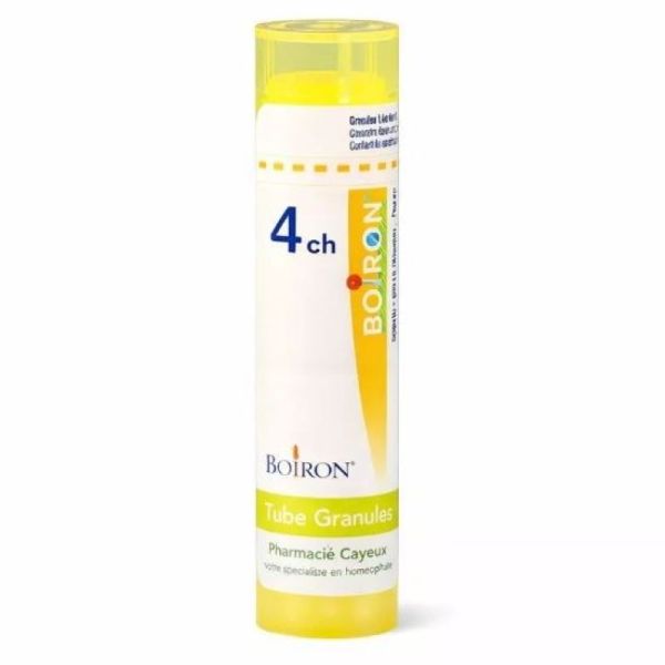 SABAL SERRULATA 4CH TUBE BOIRON