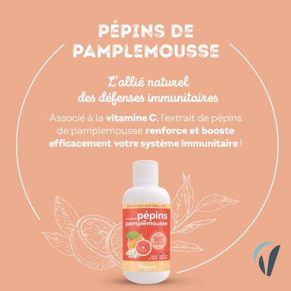 Extrait pépins de pamplemousse Nutrisanté x 100 ml