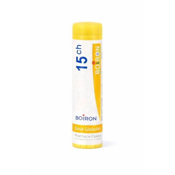 THUYA OCCIDENTALIS 15CH DOSE BOIRON (copie)