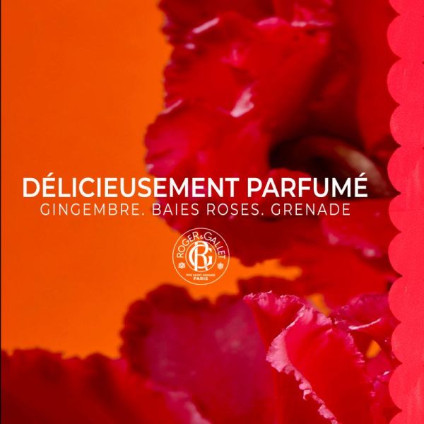 Gingembre Rouge lait corps 250ml