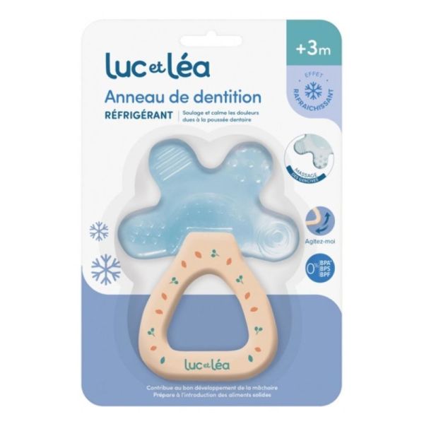 Anneau de dentition réfrigérant Tortue