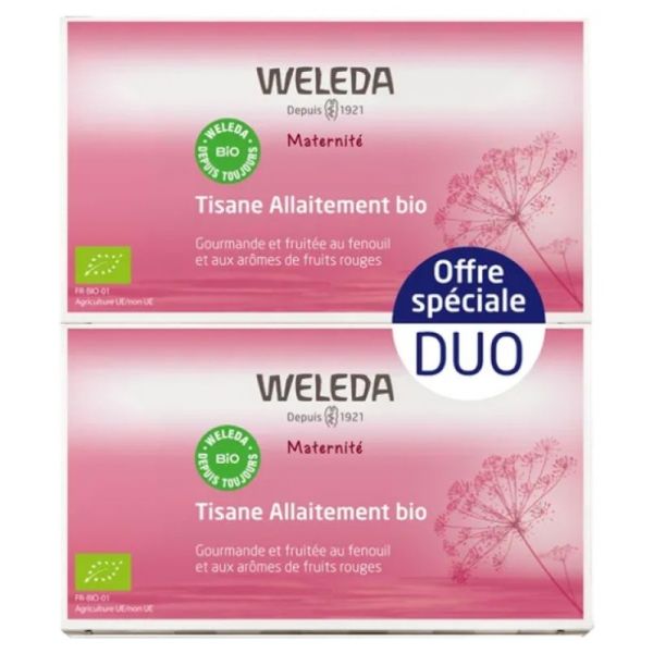 Maternité Tisane Allaitement Fruits Rouges Bio Lot de 2 x 20 Sachets