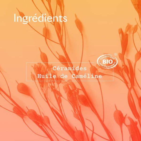 CERA BOTANICA BAUME MAINS RÉPARATEUR - 50ML