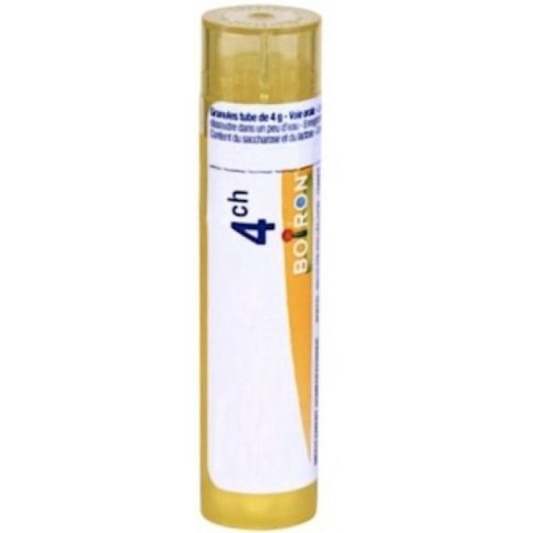 Actaea Spicata Tube granules 4ch - 4g