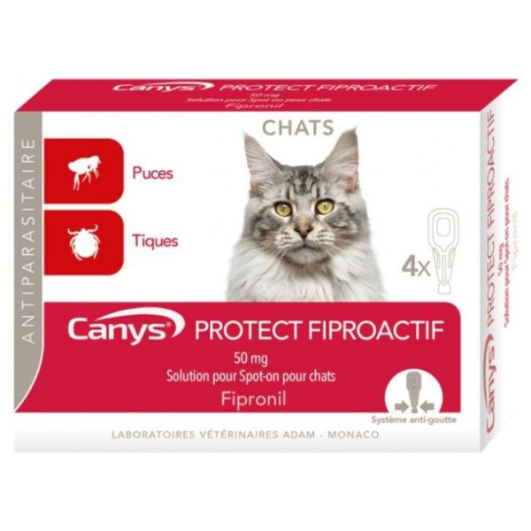 Protect Fiproactif Solution pour Spot-on Chats 4 Pipettes