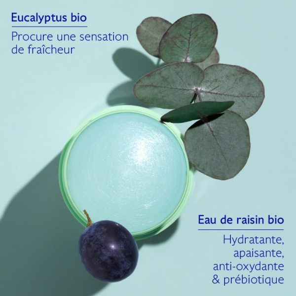 Déodorant Stick Naturel Vinofresh - 50 g