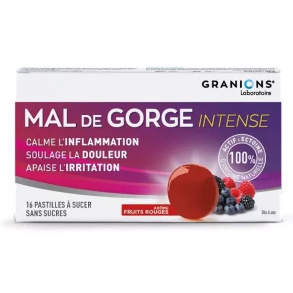 Mal de gorge intense 16 pastilles goût fruits rouges