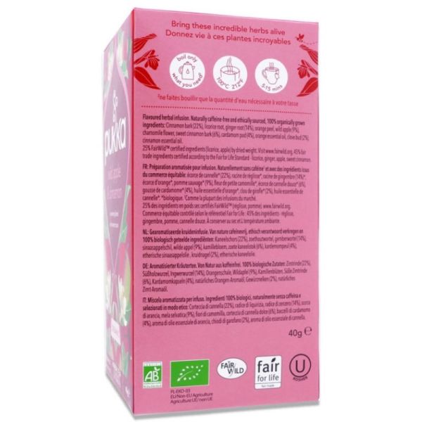 Infusion Pomme Cannelle Gingembre