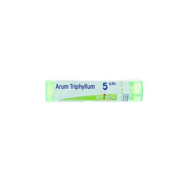 Arum Triphyllum 5CH Tube