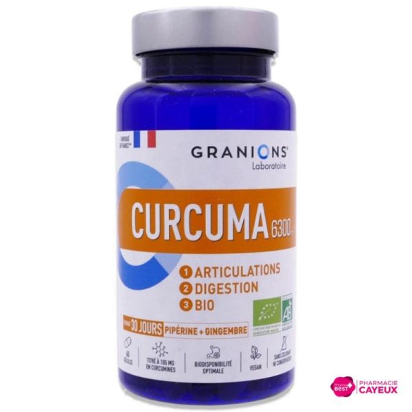 Curcuma Bio 6000 mg 60 gélules