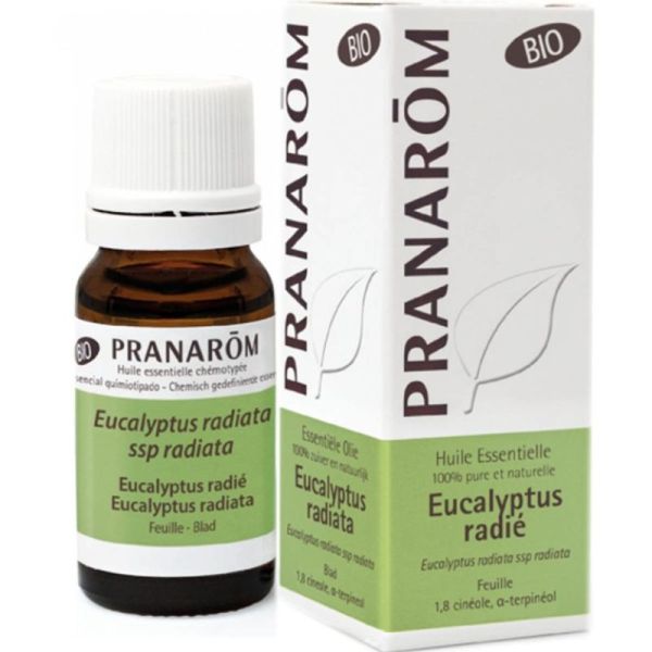 Huile essentielle Bio Eucalyptus radié 10 ml