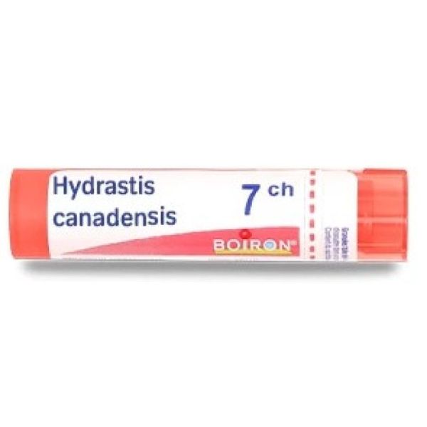 Hydrastis Canadensis Tube 7CH - 4g